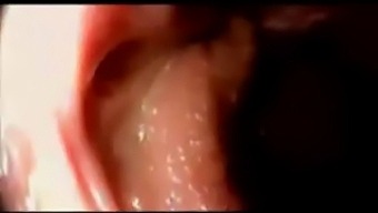 Intense Vaginal Pounding And Internal Ejaculation Continued